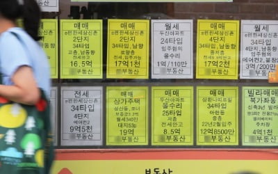 "지금 아니면 서울 아파트 못 산다"…20대까지 번진 '패닉바잉'