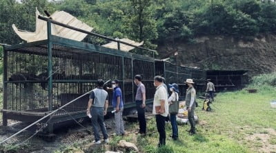 "곰을 죽이지 말아주세요"…초등생들 진심 담긴 청원 등장