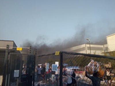 남아공 폭동, 불타버린 LG 공장…삼성 공장도 약탈 피해