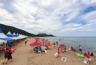 경북 해수욕장 9일부터 개장…사전예약제·혼잡정보 제공