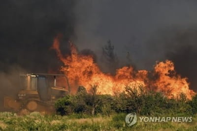 미국서 대마초 재배 동남아 몽족 후예, 당국과 산불 진화 갈등