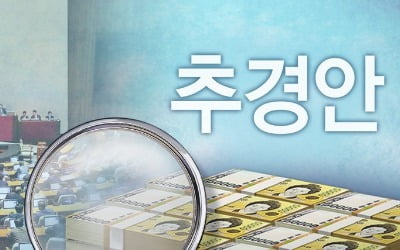 곧 추경심사인데…'법사위 불똥'에 예결위 공회전