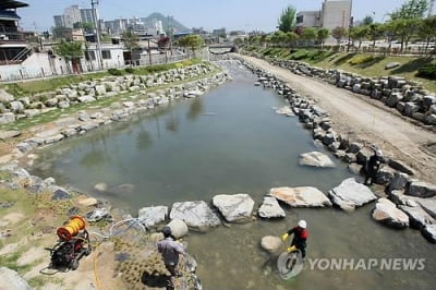 춘천시 마장천 생태하천 복원 추진…250억원 투입