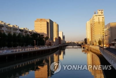 '노인이 물에 떠내려가…' 부산 괴정천 실종신고, 경찰 수색중