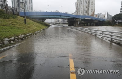 부산 시간당 최고 60㎜ 폭우…도로 통제 등 피해 신고 잇따라(종합)