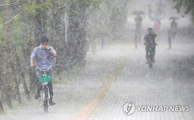 강원·충북·경북 오후 강한 비…낮 최고 31도 무더위