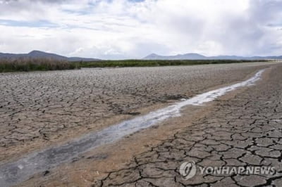 가뭄에 목 타는 캘리포니아 주지사 "물 15% 적게 써달라" 호소