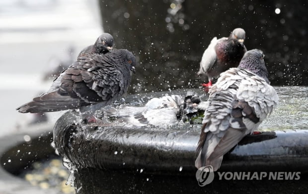 [날씨] 곳곳 강한 소나기…낮 최고 33도 찜통더위