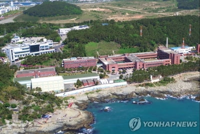 함평 앞바다 수온이 27.2도…폭염에 한반도 연안 뜨거워져