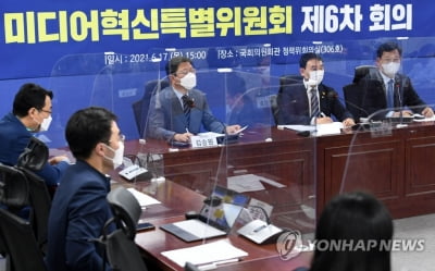 與, 언론사 '징벌적 손해배상제' 하한액 설정 검토