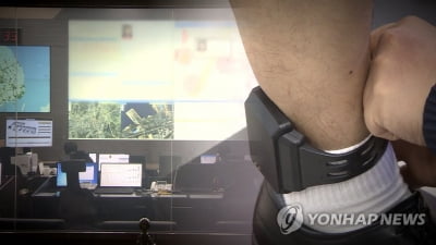 대법 "집행유예에 전자발찌 부착 안돼"…비상상고 인용