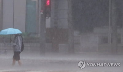 [날씨] 전국 곳곳 밤까지 소나기…폭염에 열대야