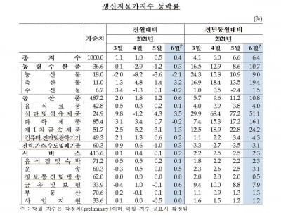 6월 생산자물가 전월대비 8개월 연속 올라