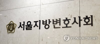 서울변회 "'수산업자 비서' 수사서 변호인 조력권 침해"