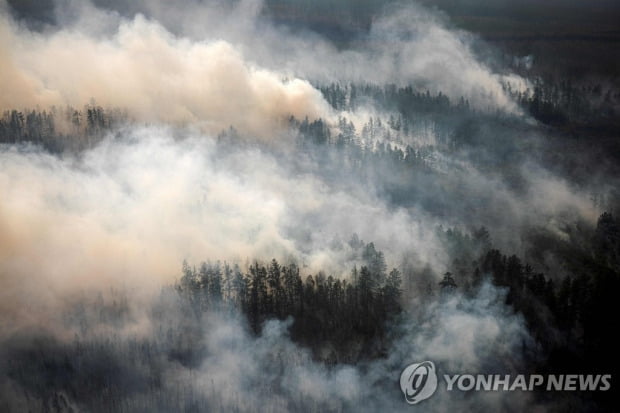 세계 과학자 1만4000명 "기후변화 위급한 상황" 집단 경고