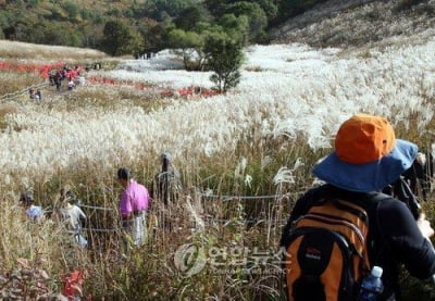 포천 산정호수∼명성산 케이블카 설치 '착공 지연'