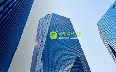 '라임 돌려막기' 가담한 연예기획사 대표…징역 4년 확정