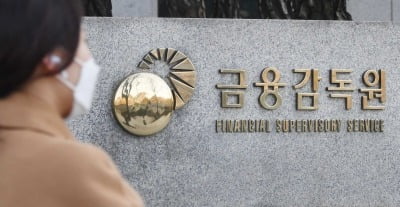 금감원, 공모펀드 '위험등급 관리 실태' 전수조사 나서