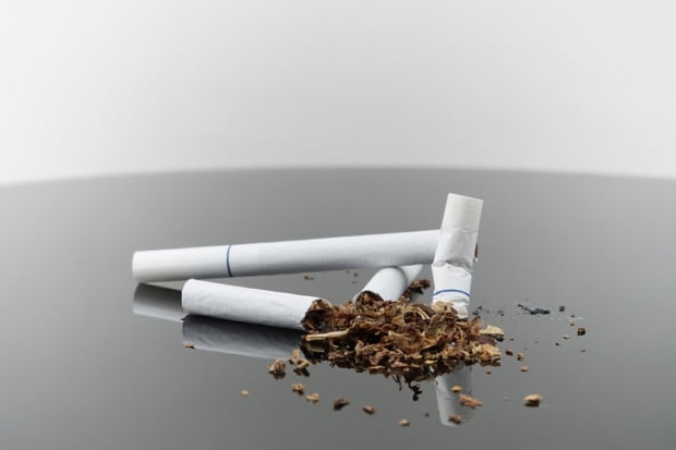 재활용 담배 꽁초 加, 세계