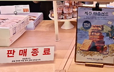 '제주도서 품귀' 파리바게뜨 한정판 샌드…이번엔 가평이다