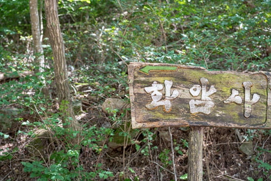 길에서 만나는 '힐링' 전북 생태 탐방길 3선