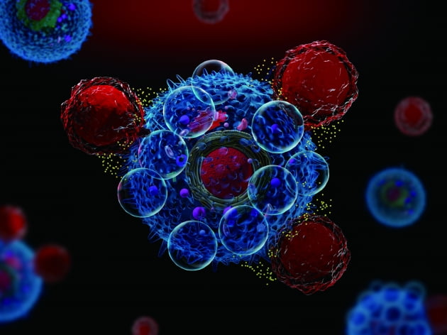 절반 정도에 불과한 치료율, 높은 비용 등 자가 CAR-T가 가진 한계점을 극복하기 위한 대안으로 동종 CAR-T 치료제 개발 열기가 뜨겁다.