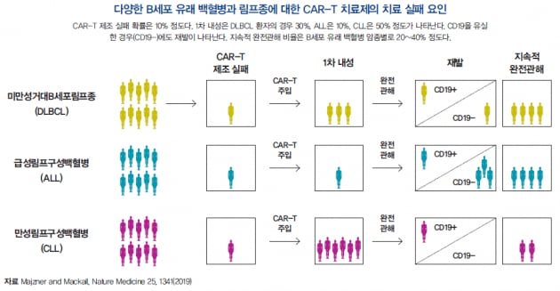 [도준상의 면역항암제 이야기] 자가 vs. 동종 CAR-T 치료제