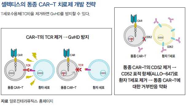 [도준상의 면역항암제 이야기] 자가 vs. 동종 CAR-T 치료제