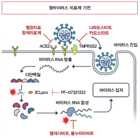 [Issue Highlight] 코로나19 치료제 어디까지 왔나