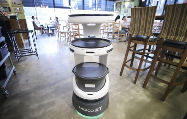 식당에서 일하고 있는 KT의 AI 서빙 로봇. 사진제공 KT