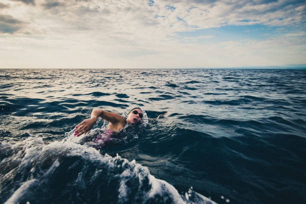 바다를 건너기 위해 수영을 할 때는 한 가지 동작만으로는 부족합니다. 모든 동작이 조화를 이루어야 하지요. /사진=게티이미지.