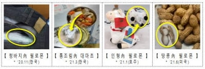 인형 배 갈라보니 흰 가루가…'마약 경유지' 된 한국