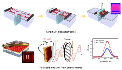 부산대, 양자 막대 고효율 편광LED 개발