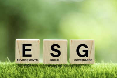 정부, 12월  K-ESG 가이드라인 마련…전문가 "정부가 할 일 아냐"