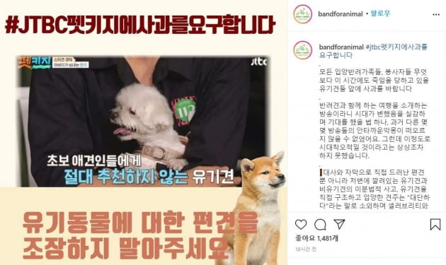 /사진=아산동물보호연대 소셜미디어 캡처