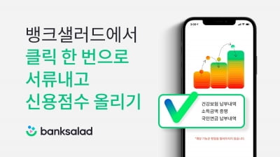 내 신용점수는 몇점?…뱅크샐러드서 '신용점수' 관리하자