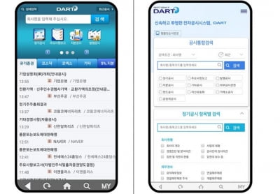 금감원, 전자공시 DART 홈페이지, 앱 전면개편