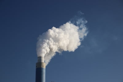 탄소배출권 시장 4가지 관전 포인트