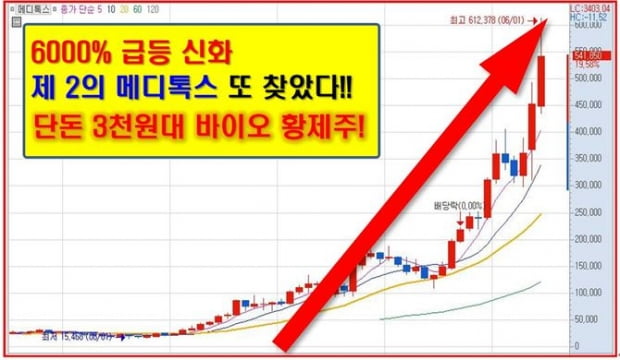 8월! 반드시 주목해야될 Best 종목!!