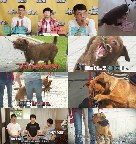 개는 훌륭하다 (사진=KBS2)