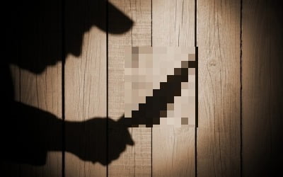 여성 집과 편의점서 강도짓한 20대 검거…경찰, 구속영장 신청