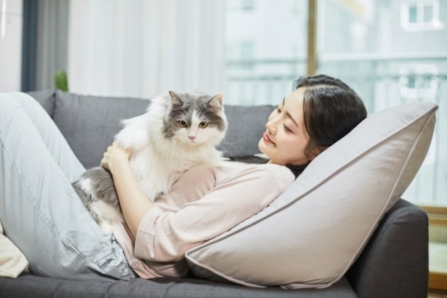 본문내용과 직접적인 연관은 없습니다. 사진=게티이미지뱅크 