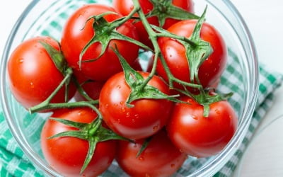 '면역력 높여주는 토마토' 효과적으로 먹는 방법 [건강!톡] 