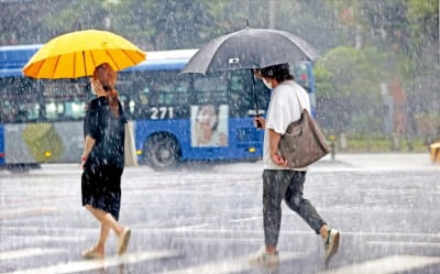 이번주 내내 폭염·소나기…전력수급 비상