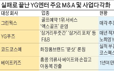 자회사 정리 나선 YG엔터 'M&A 잔혹사'