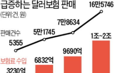 달러보험 가입 까다로워진다…달러 월급 받아야 가능