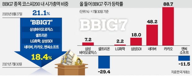 네이버·카카오 빼곤…'BBIG7' 이름값 못하네