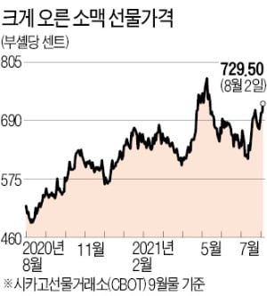 오뚜기·농심發 '도미노 가격 인상'…음식료株의 시간 온다