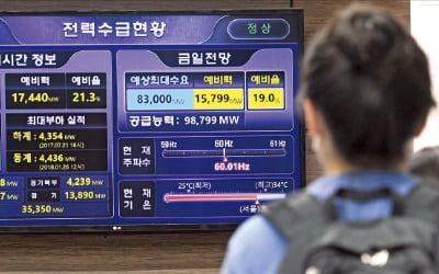 脫원전 집착에 신재생 비중 6→71%…"전 국토에 태양광 덮을 판"