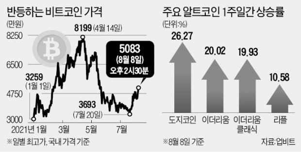 "비트코인 살아있네"…다시 5000만원대